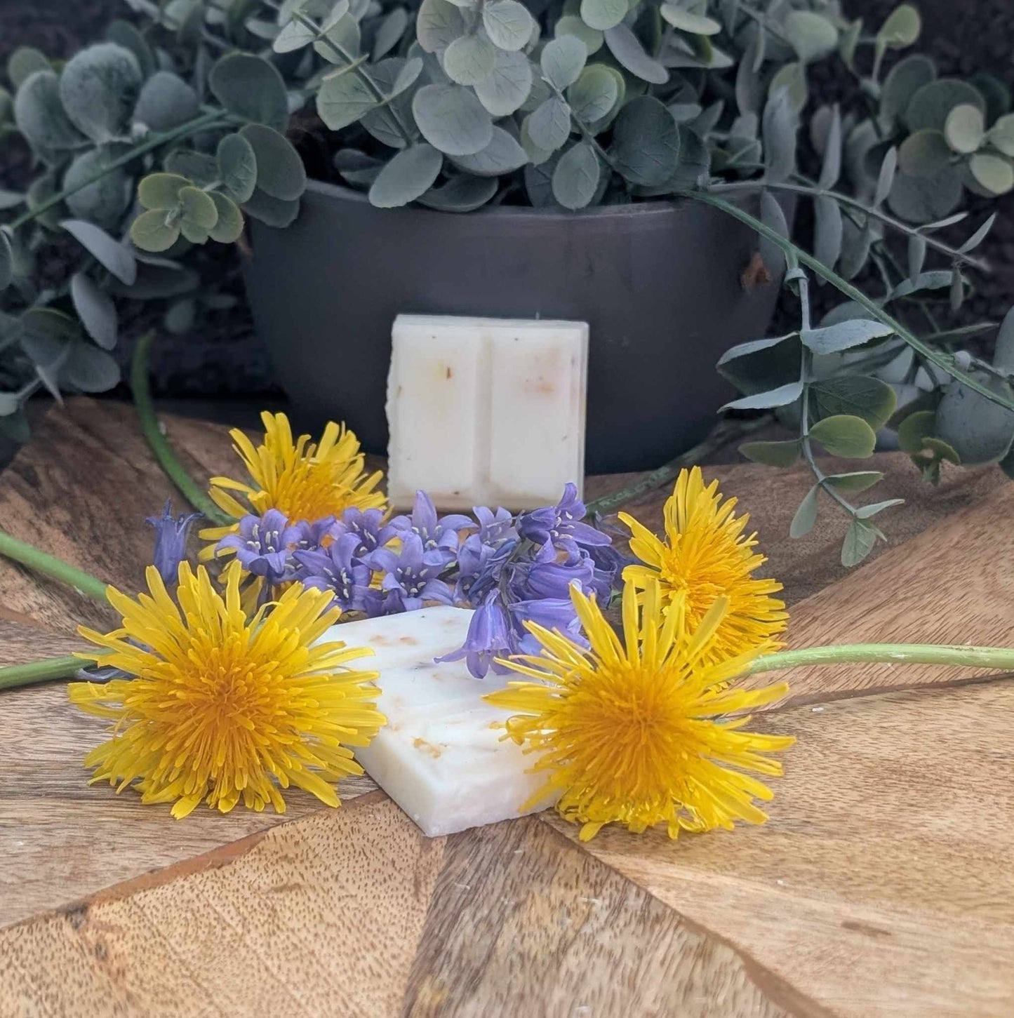 Enchanted Wildflower Botanical Waxes