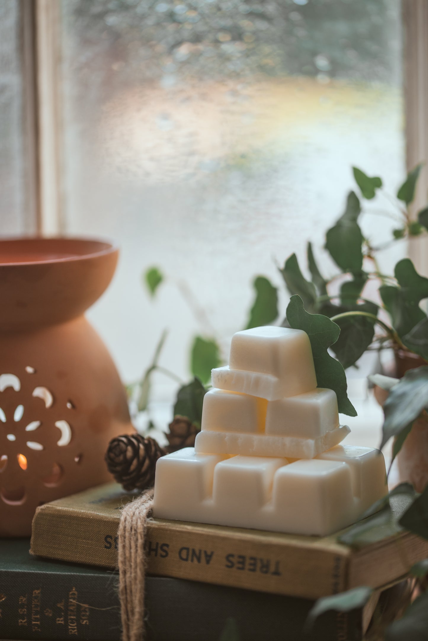 Scented Melts