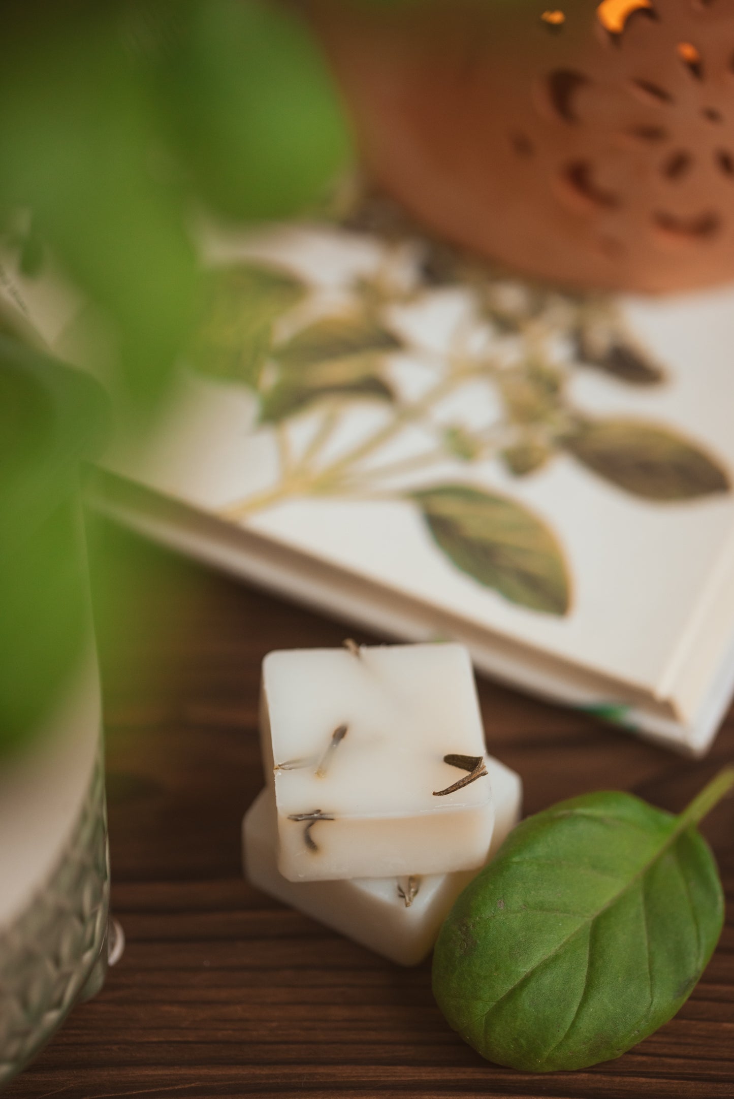 Basil Botanical Wax Melts