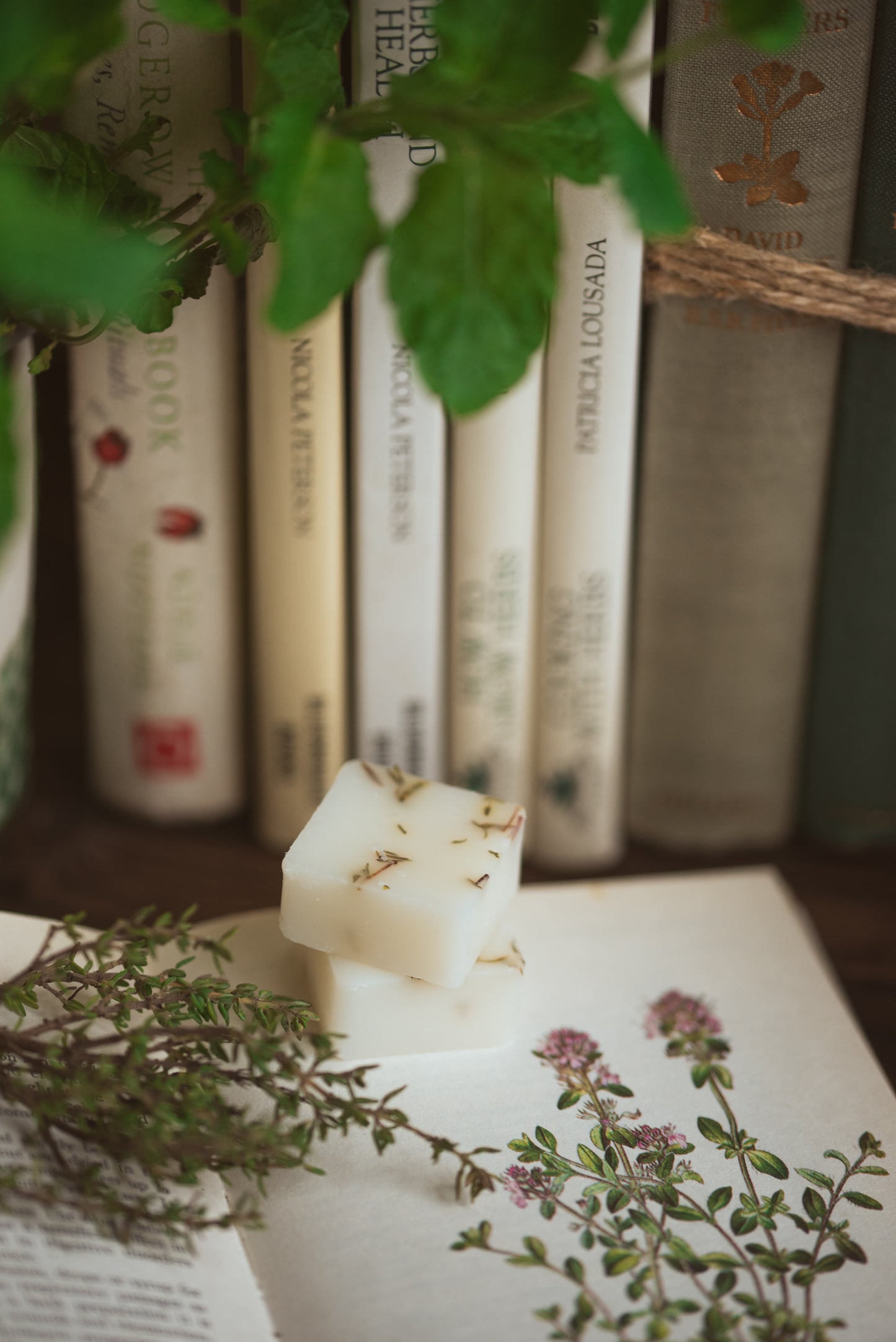 Thyme Botanical Wax Melts