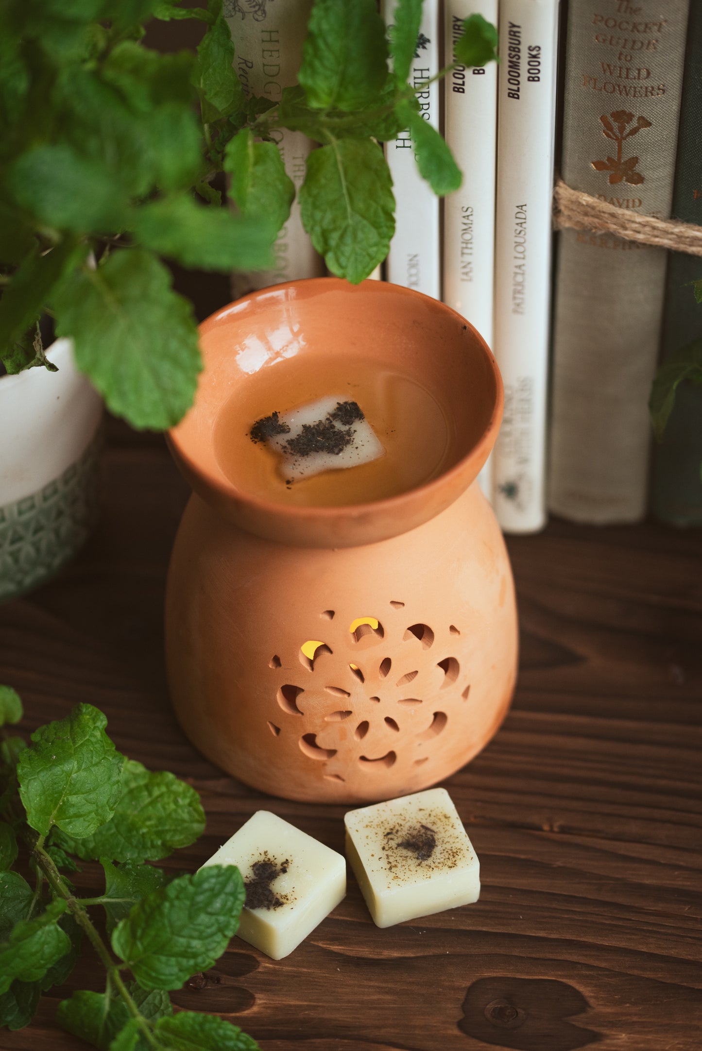 Essential Oil Melts