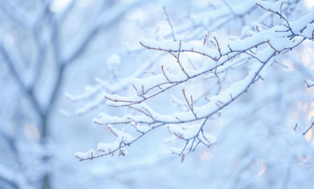 Whispers Of Winter Collection - All 8 For £30