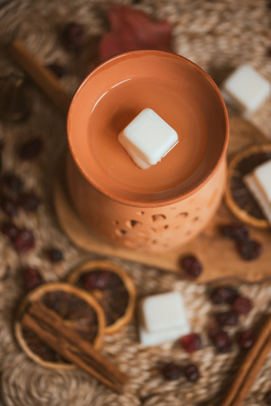 Cranberry, Orange + Cinnamon Wax Melts