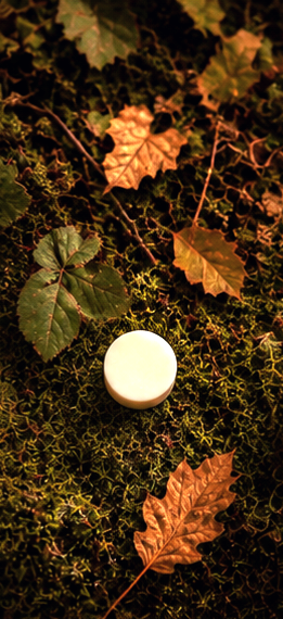 Winter Walks Wax Melts
