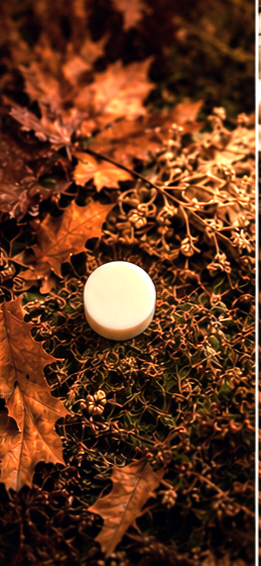 Nutcracker Wax Melts