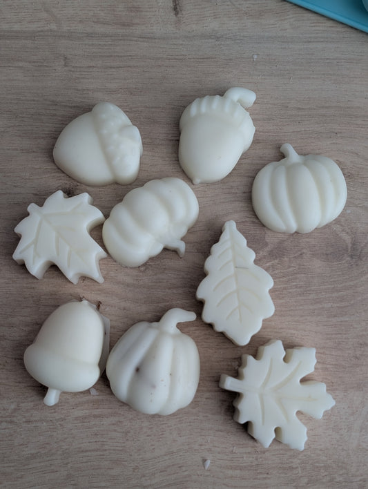 Winter Pine Wax Melts – Fresh Pine Needles, Snowy Woods & Crisp Winter Air